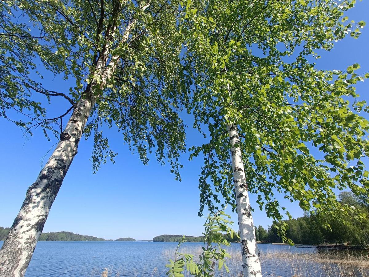 Cronin'S Guesthouse Bed & Breakfast Heinola Eksteriør bilde