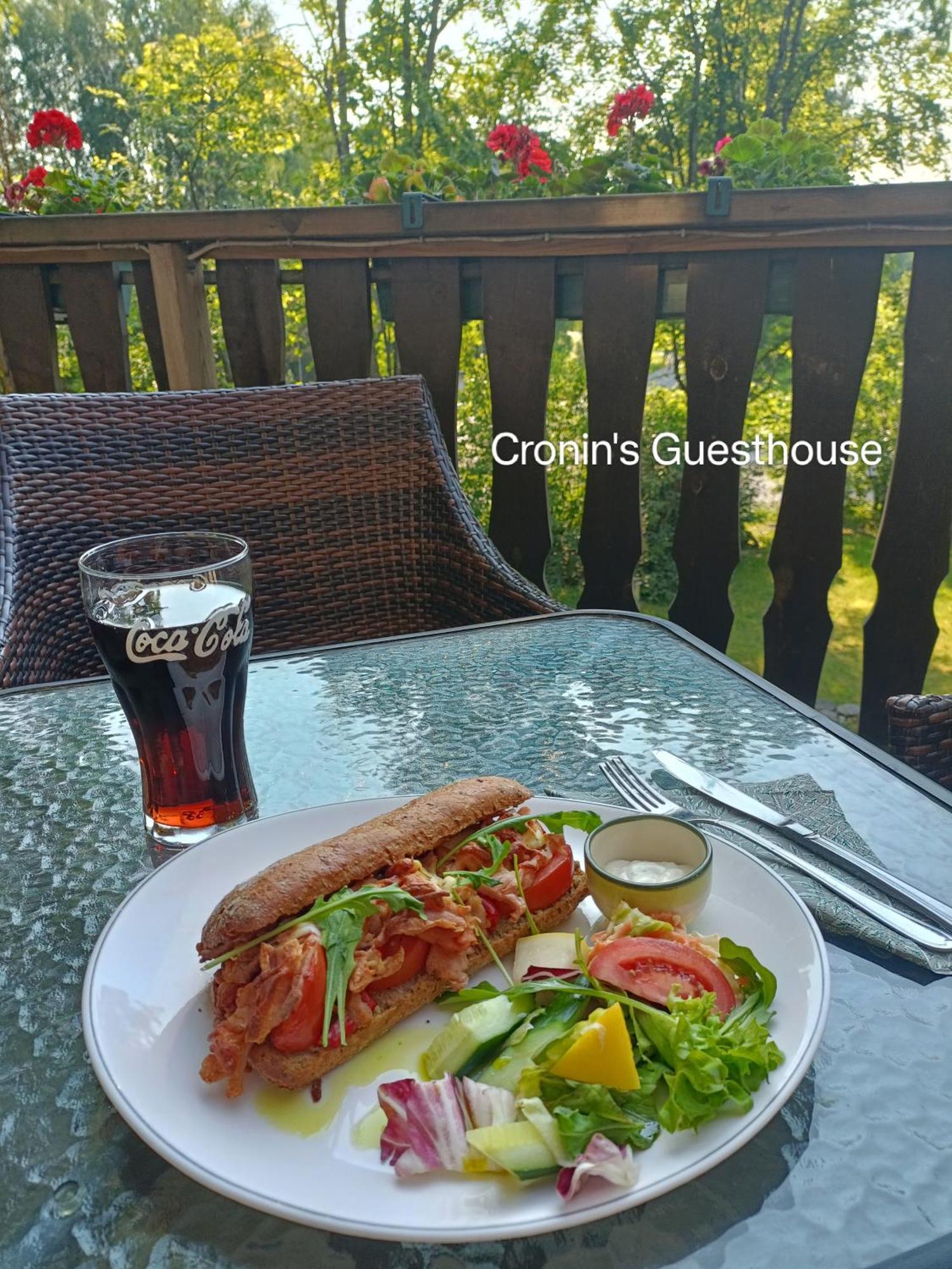 Cronin'S Guesthouse Bed & Breakfast Heinola Eksteriør bilde